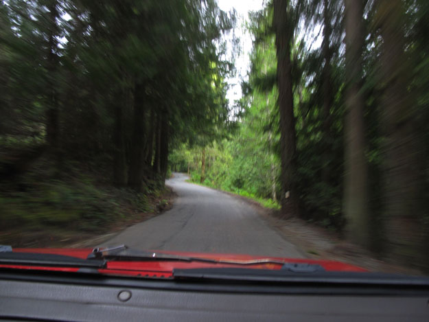 Driving in the woods in Canada