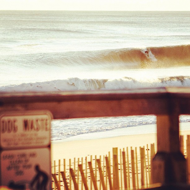 Morning light in New Jersey. Photo: Smolowe