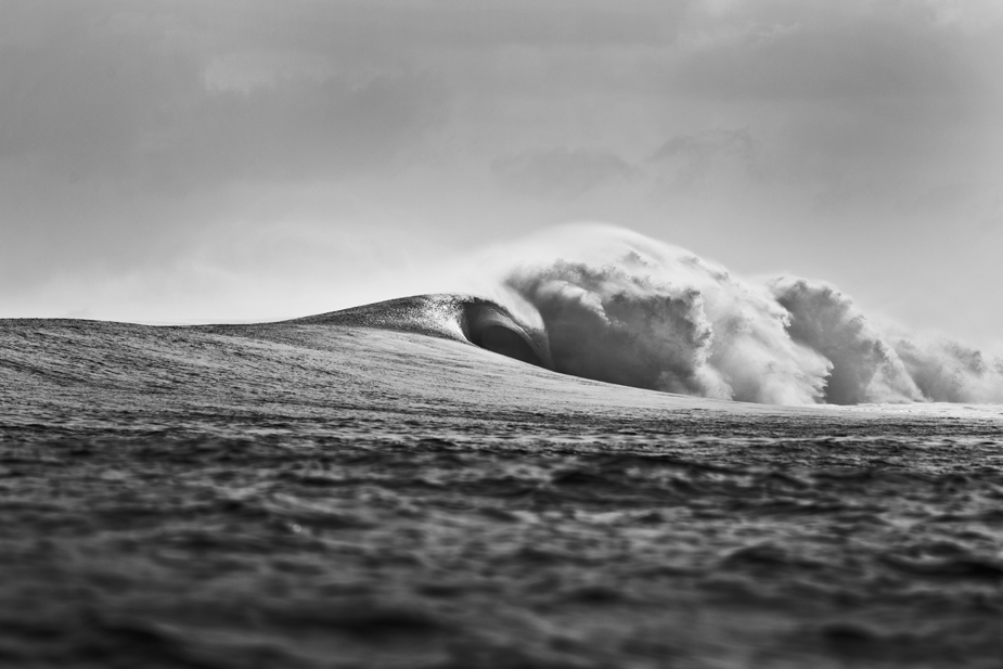 Wild Horses. Photo: Matt Clark