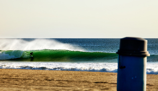 Summer Session. Photo: Paul Greene