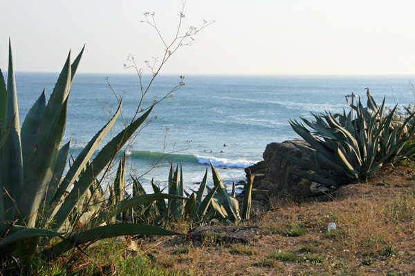 Secret spot. Shhh. Photo: Nicky Kelly