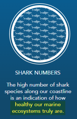 http://sharksmart.com.au/