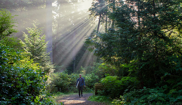 Rise and shine. Photo: Mark McInnis