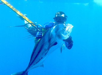 Best Spearfishing Destinations Around the World