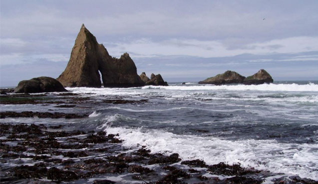 Martin's Beach. Photo: Open Martin's Beach.