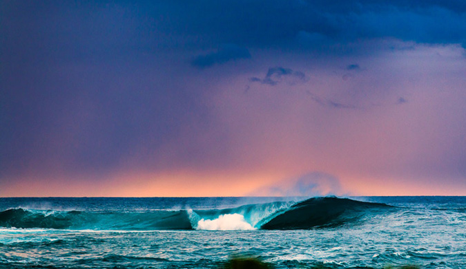 Purple Haze. Photo: Bryce Johnson