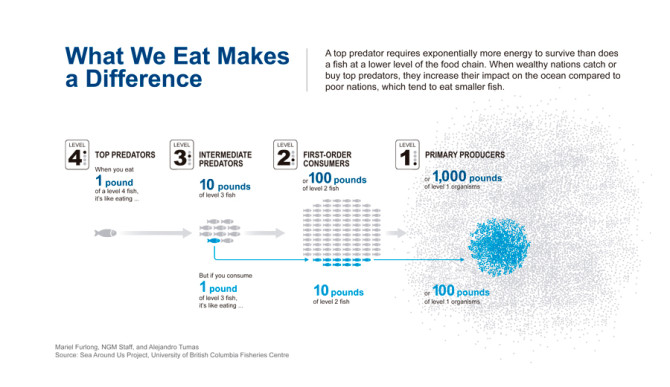 Your footprint. Well, maybe not footprint... FINprint. Photo: <a href="http://images.nationalgeographic.com/wpf/media-live/file/what-we-eat-makes-a-difference_.pdf">National Geographic</a>