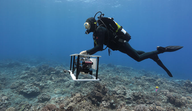 Imagine being able to explore the reefs beneath some of the world's most famous waves without having to come up for air?