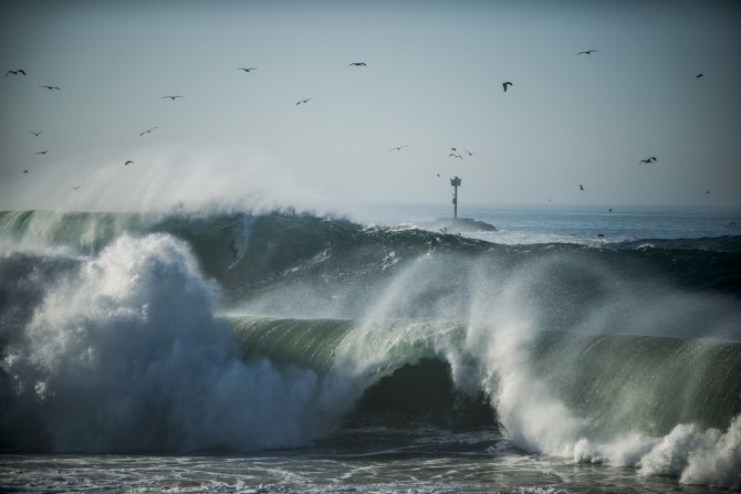 Even the birds flocked to the breaks. Photo:  Ricky Lesser