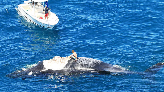 "Need a hand?"  "Yeah, I can't get my whale started!"