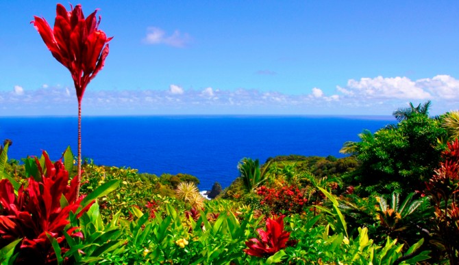 Let's save our Garden of Eden — wherever yours might be. Photo: Mike Brake