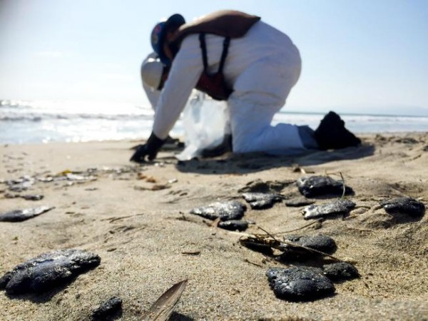 Balls of what appear to be oil wash up ashore Los Angeles beaches. Photo: Lori Bently/KNBC