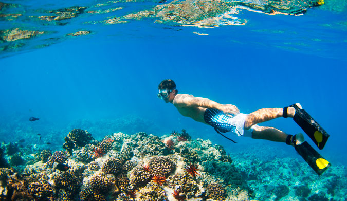 Have a look at the underside of the ocean.