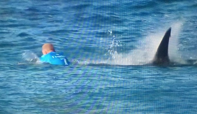 Mick Fanning Shark J-Bay