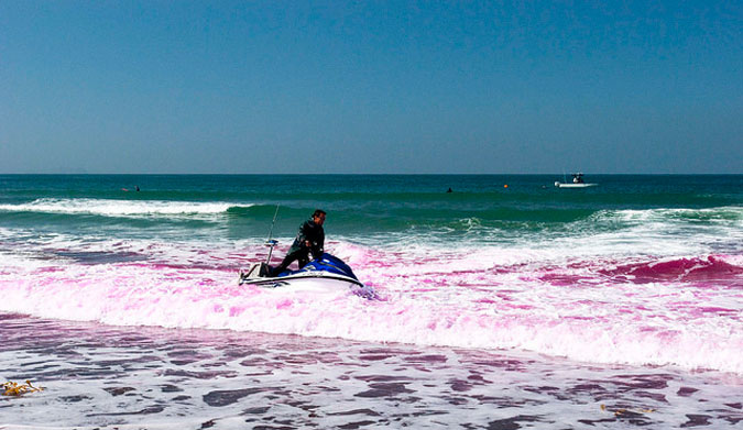 In the first of three tests, researchers released a bright pink dye into beach waters and track its movements along the coast.  Image: Scripps Institution of Oceanography, UC San Diego