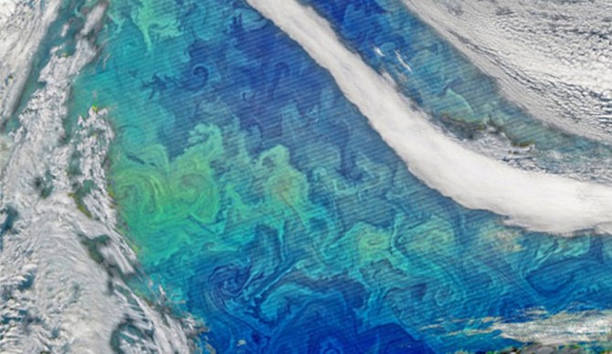 dnews-files-2015-12-phytoplankton-bloom-151215-670-jpg