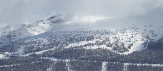 The area on Blackcomb where the tragic accident occured (Image Courtesy Wikimedia Commons)