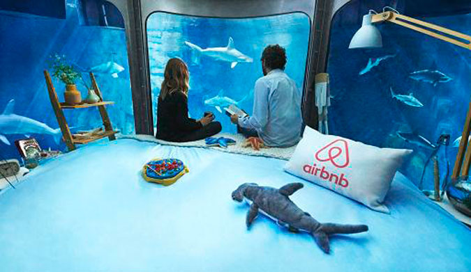 Shark Airbnb