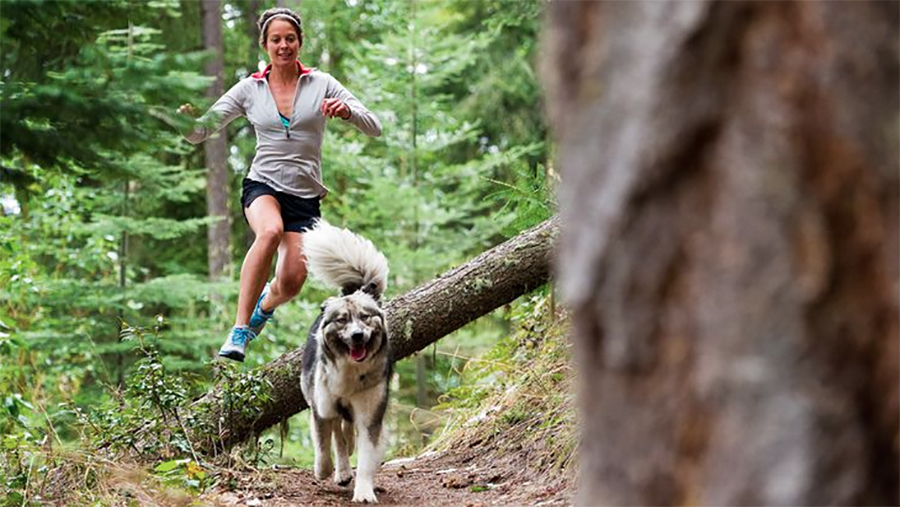 4 Important Hints for Trail Running with Your Dog The Inertia