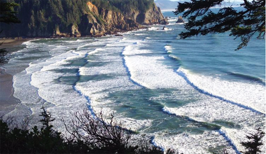 Oswald State Park aka Short Sands. Photo: Instagram @seasidesurf.