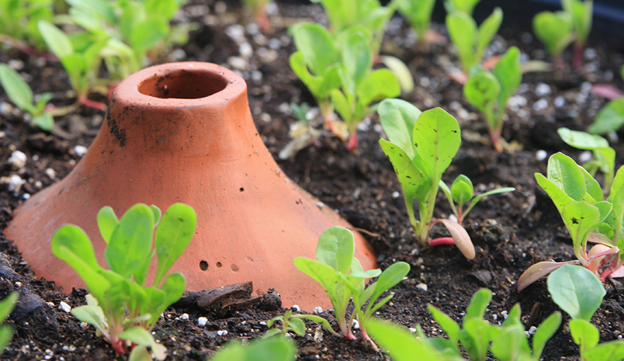 Photo: The Urban Homestead.