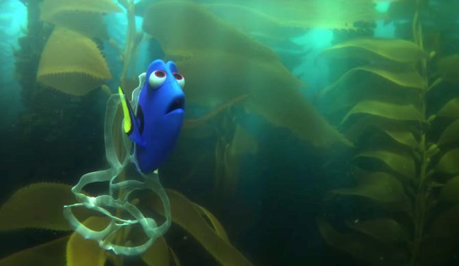 dory