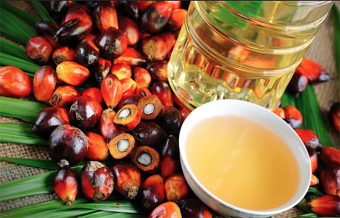 palmoil