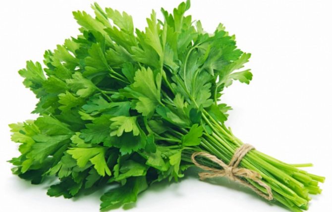 parsley