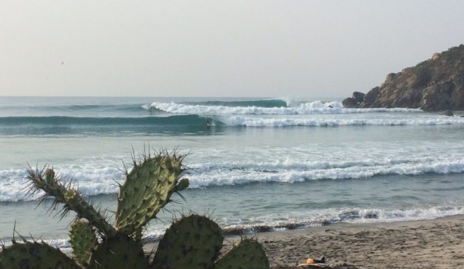 Barra is beautiful. Photo: Wyatt Fowler