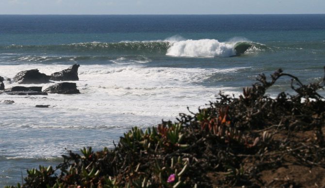 With any luck, next years' Titans of Mavericks event will have women includes. Photo: @Shannonreporting