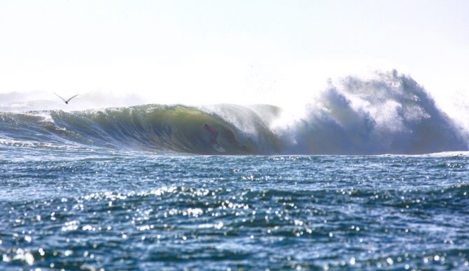 Greg Geiselman embraces the lighter side of Hurricane Bill in 2008. Photo: @therealtupat