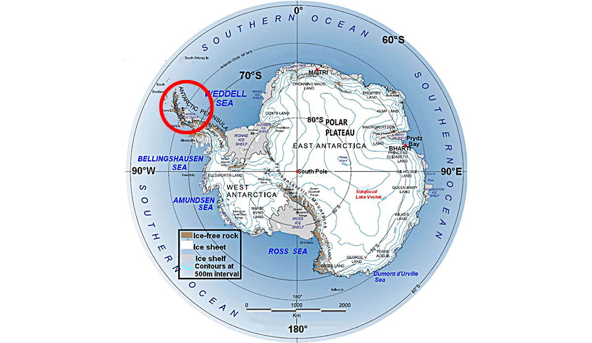 The Larsen Ice Shelf is breaking apart, shelf by shelf.