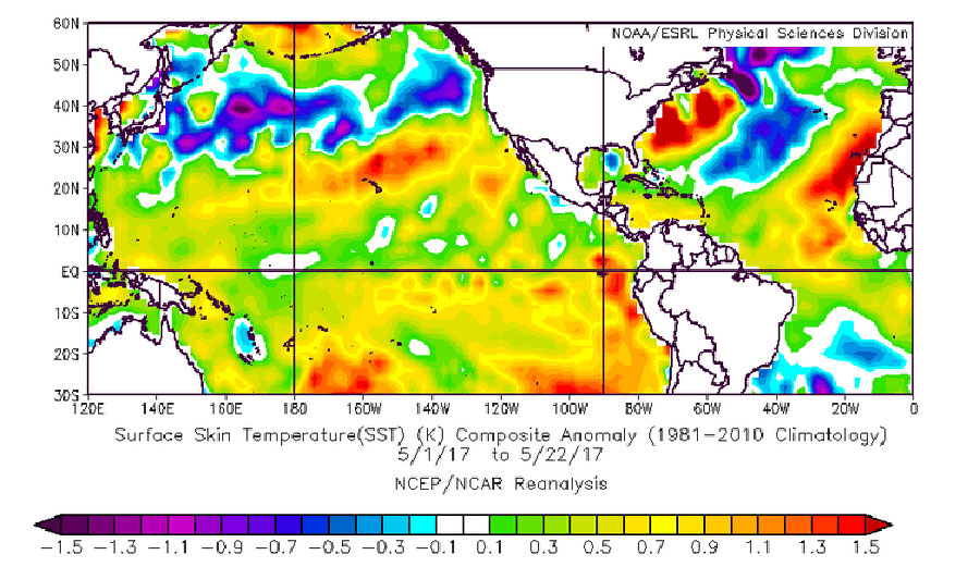 May 1-22-averaged sea surface temperature anomalies. Image: NOAA