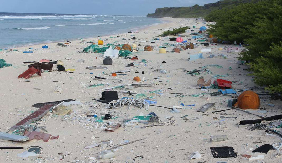 Henderson Island in the South Pacific in uninhabited... and it's COVERED in plastic. Photo: Lavers