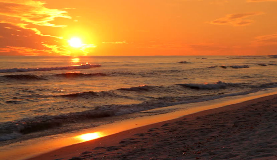 Top 10 Reasons Why We Love Summer in Florida!