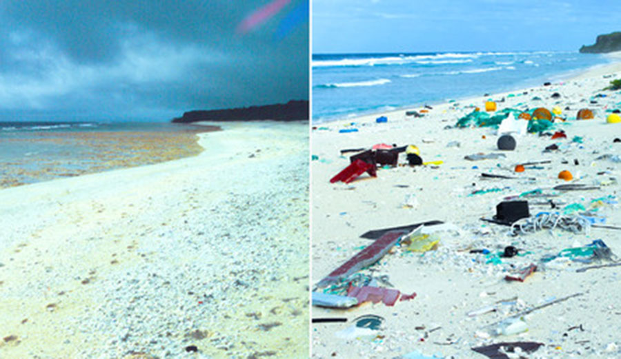 The same beach on Henderson Island, in 1992 and 2015.