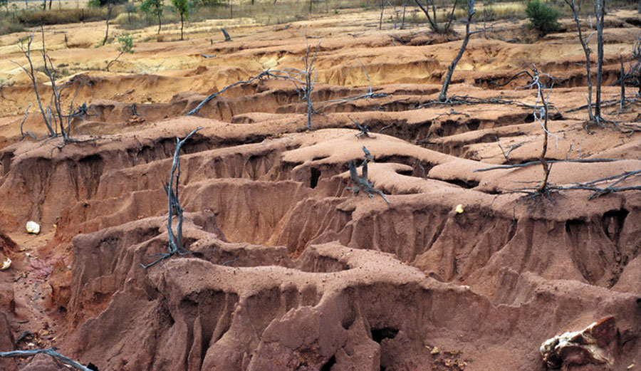 Land clearing can lead to serious hillslope gully and sheet erosion, which causes sedimentation and reduced water quality in the Great Barrier Reef lagoon. Photo: Willem van Aken/CSIRO