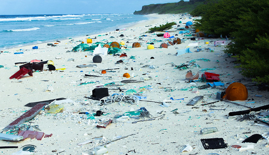 The same stretch of beach in 2015. Photo: Jennifer Lavers, Author provided