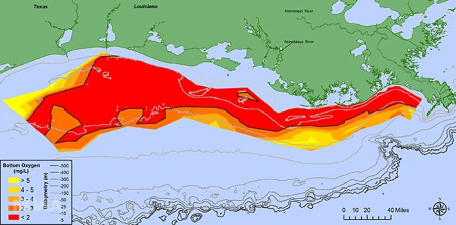 Gulf of Mexico dead zone, July 2017. The map shows an area nearly 400 miles (643km) across. Image: N. Rabalais, LSU/LUMCON