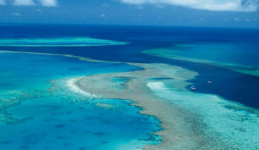 Experts say the current plan to save the Great Barrier Reef are is no longer achievable