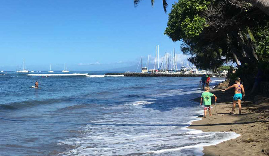 September 16th was International Ocean Cleanup Day, and 300 hundred Maui volunteers did their part by picking up a staggering six tons of garbage.