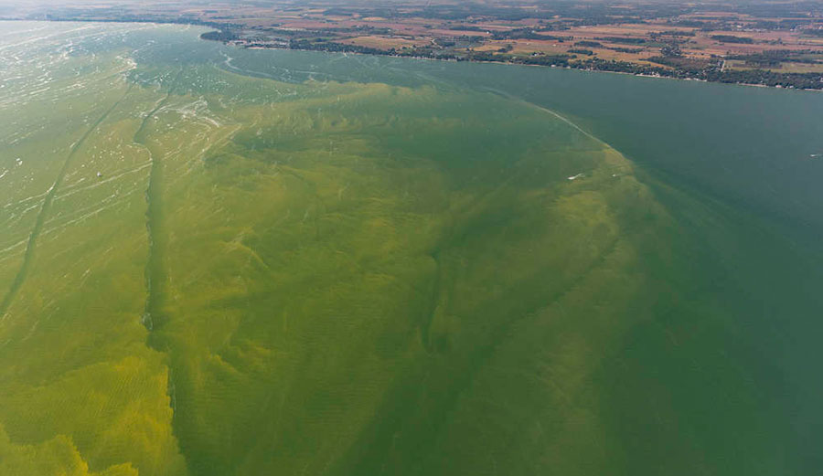 A flyover of Lake Erie. Photo: Aerial Associates Photography, Inc. by Zachary Haslic via NOAA