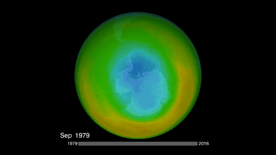 The ozone layer. Protector of skin all over the world.