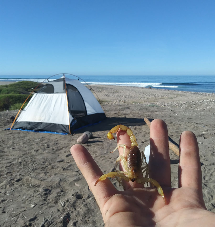 It's beautiful here, in a strangely ugly way. A barren, scorpion-filled arroyo with three empty, ramshackle fishing houses looking over it. 