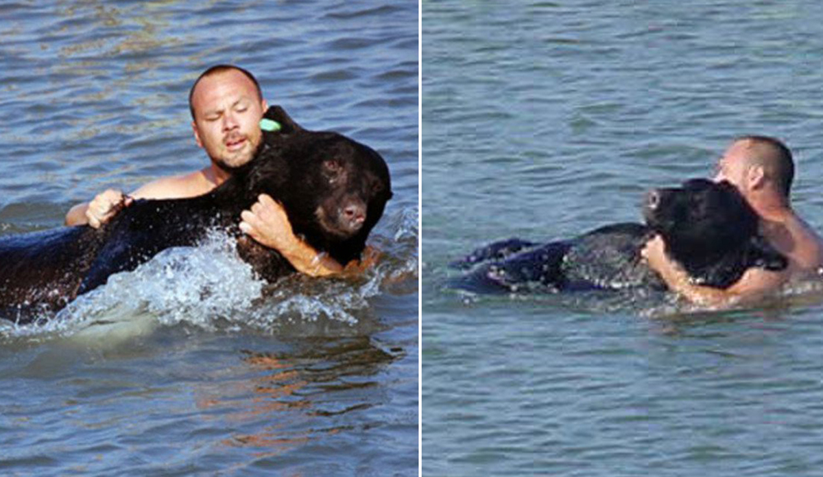 It's True A Florida Man Saved a DruggedUp Black Bear From Drowning