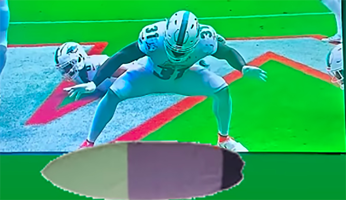 Highlight] Raheem Mostert TD leads to epic Dolphins team celebration : r/nfl