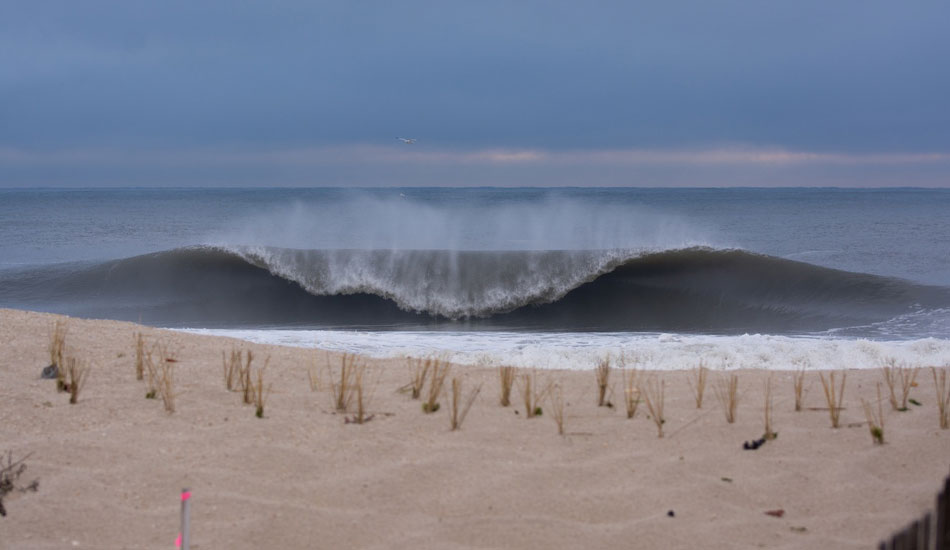 No takers on a dumping one. Photo: <a href=\"http://www.flickr.com/photos/patnolan\"> Pat Nolan</a>