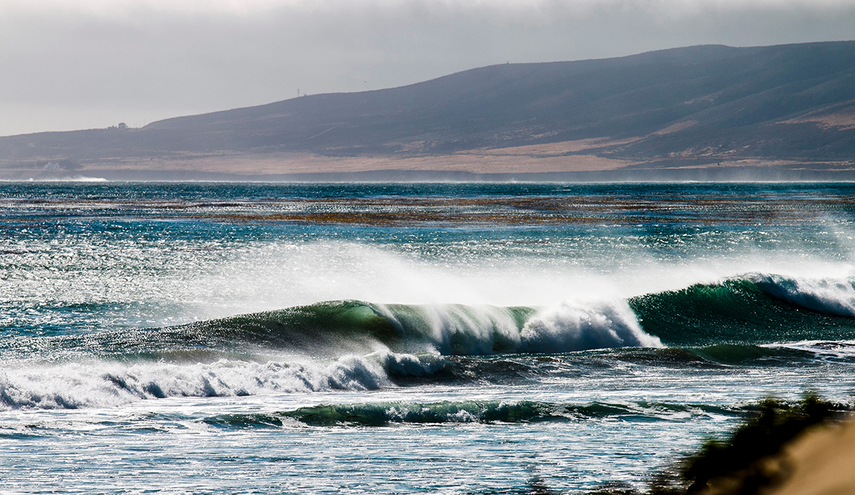 Afternoon nuggets.  Photo: <a href=\"http://www.corygehrphoto.com/\">Cory Gehr Photography</a>