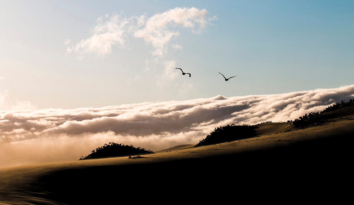 Took this from the table at our campsite. My cloud fetish was going off.  Photo: <a href=\"http://www.corygehrphoto.com/\">Cory Gehr Photography</a>