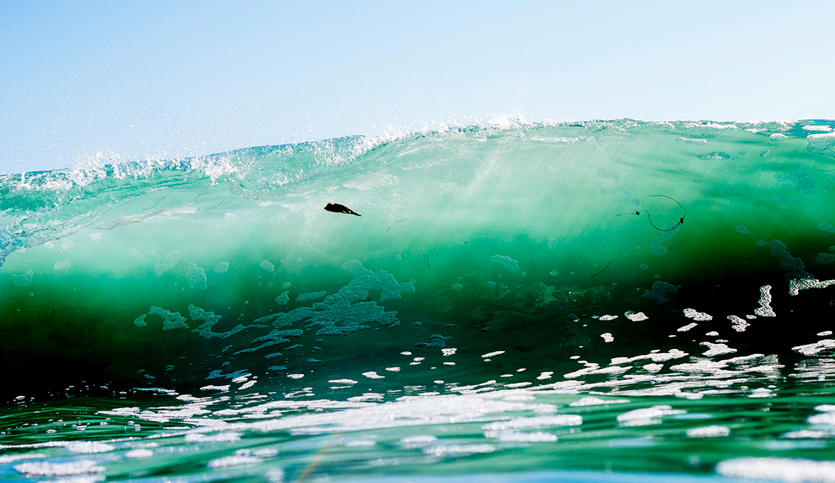 If the slick reef and draining slabs weren\'t enough excitement, the heavy patches of seaweed wrapping around our legs was definitely the cherry on top. Would I do it again? Of course I would. Photo: <a href=\"http://www.corygehrphoto.com/\">Cory Gehr Photography</a>